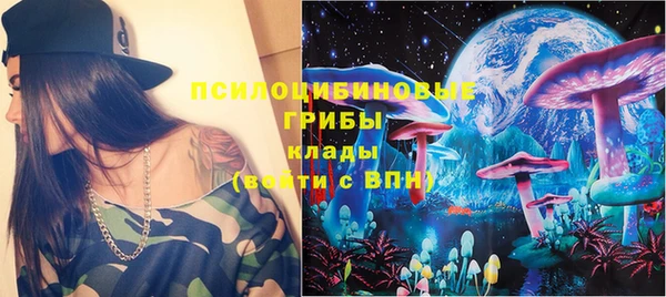 гидропоника Алзамай