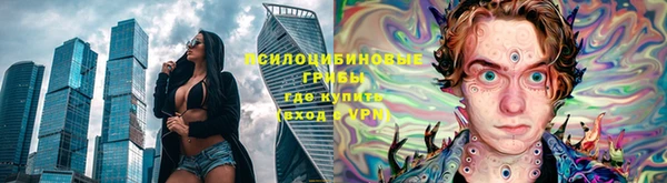 гидропоника Алзамай