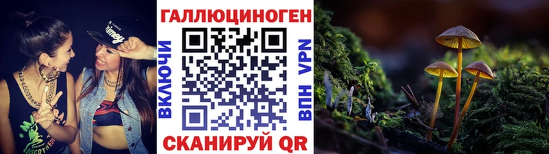 Галлюциногенные грибы Cubensis хочу наркоту Брянск